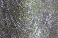 Bentley fibreglass roof work